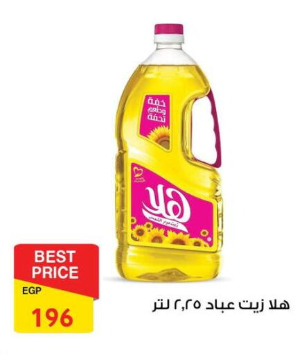 available at فتح الله in Egypt - القاهرة