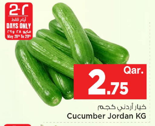Cucumber from Jordan available at Mark & Save  in Qatar - Al Daayen