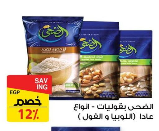 available at فتح الله in Egypt - القاهرة