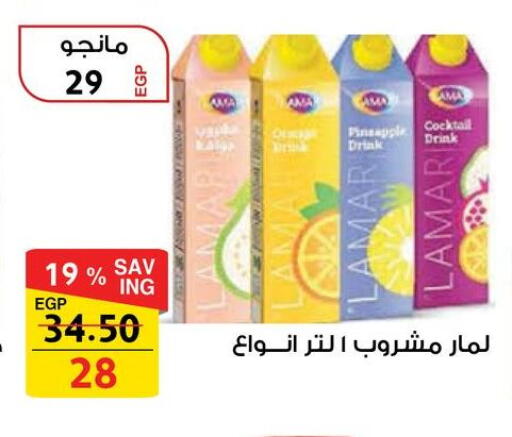Pineapple available at فتح الله in Egypt - القاهرة
