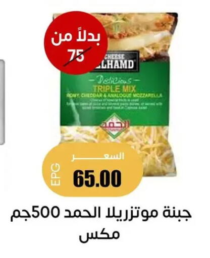 available at سوق غلاب in Egypt - القاهرة