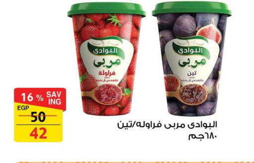 available at فتح الله in Egypt - القاهرة