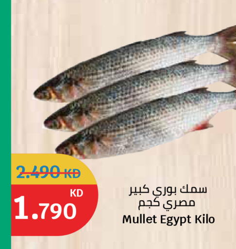 available at سيتي هايبرماركت in الكويت - مدينة الكويت