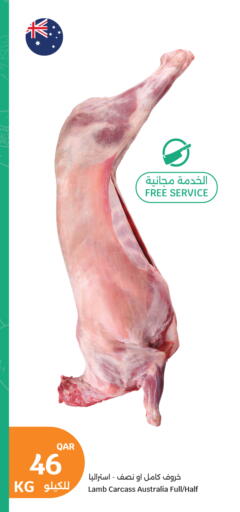available at سيتي هايبرماركت in قطر - الدوحة