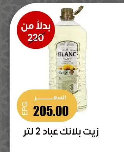 available at Ghallab Market in Egypt - Cairo
