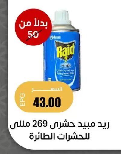 available at Ghallab Market in Egypt - Cairo