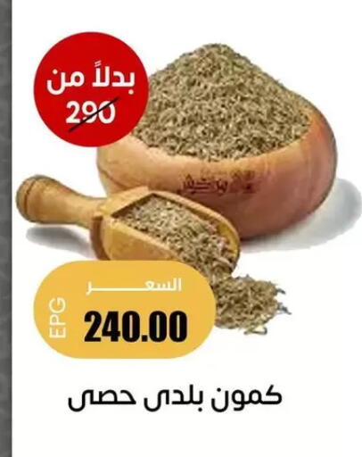available at Ghallab Market in Egypt - Cairo