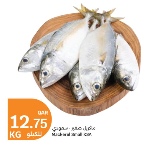 available at سيتي هايبرماركت in قطر - الخور