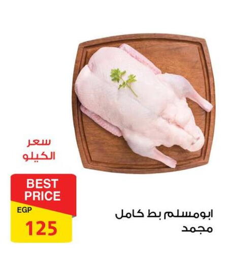 available at فتح الله in Egypt - القاهرة