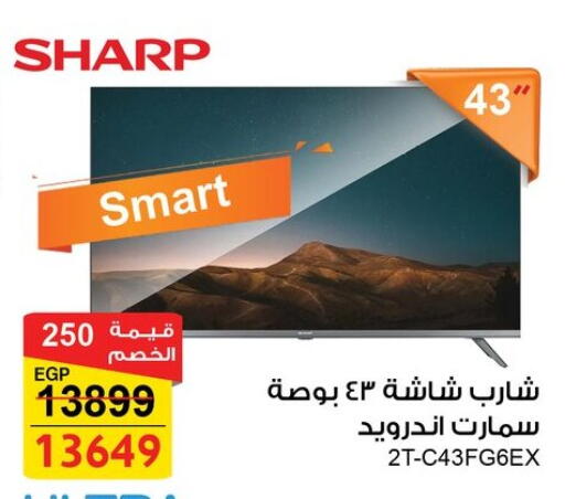 available at Fathalla Market  in Egypt - Cairo