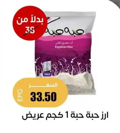 available at Ghallab Market in Egypt - Cairo