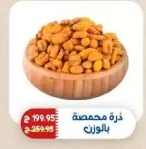 available at Exception Market in Egypt - Cairo