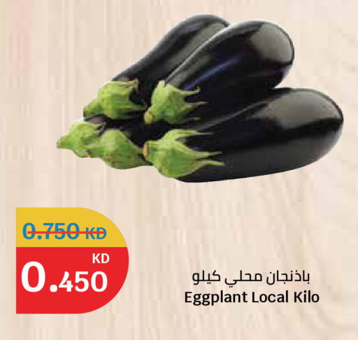 Eggplant available at سيتي هايبرماركت in الكويت - مدينة الكويت