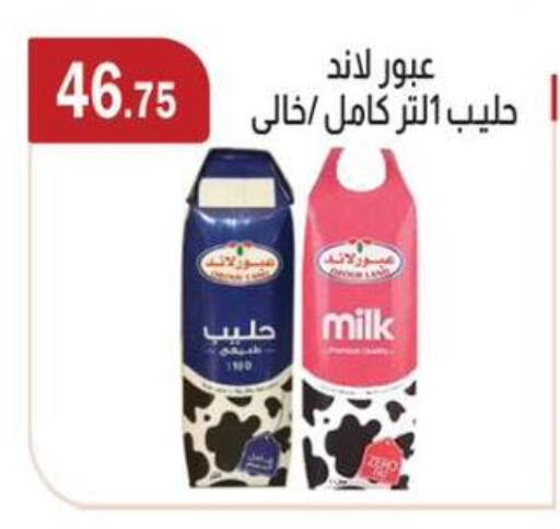 available at ABA market in Egypt - Cairo