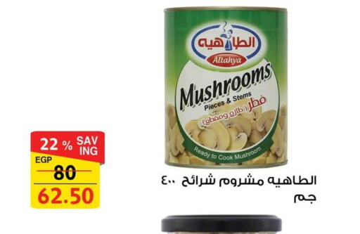 Mushroom available at Fathalla Market  in Egypt - Cairo