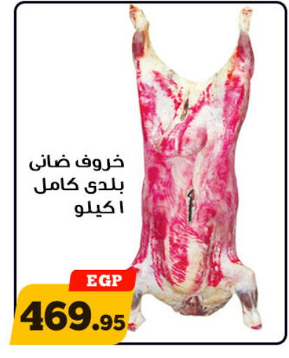 available at Awlad Ragab in Egypt - Cairo