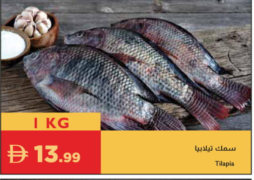 available at إسطنبول سوبرماركت in الإمارات العربية المتحدة , الامارات - دبي