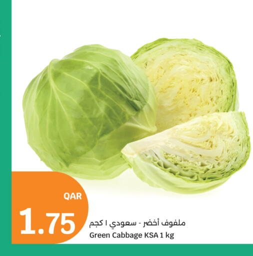 Cabbage available at سيتي هايبرماركت in قطر - الضعاين