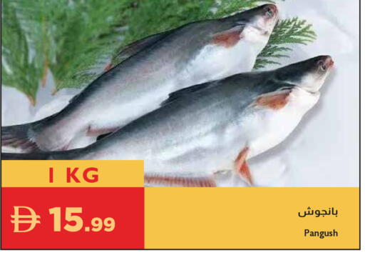 available at إسطنبول سوبرماركت in الإمارات العربية المتحدة , الامارات - دبي