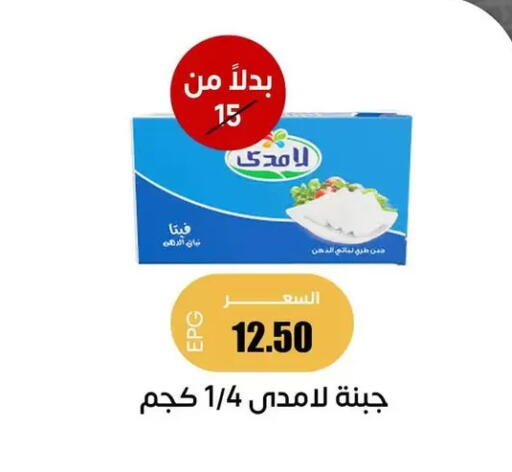 available at سوق غلاب in Egypt - القاهرة