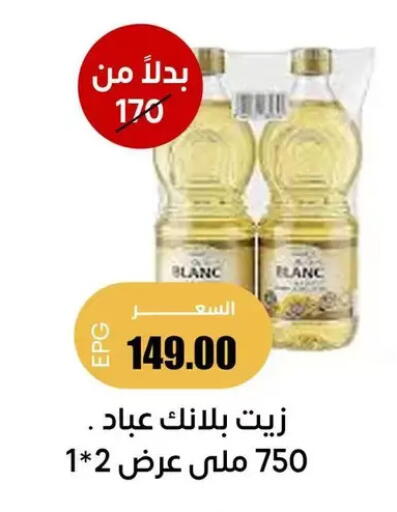 available at Ghallab Market in Egypt - Cairo