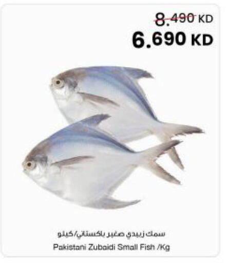 available at The Sultan Center in Kuwait - Kuwait City