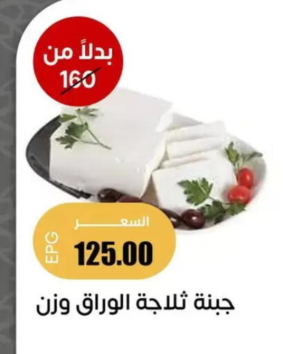 available at سوق غلاب in Egypt - القاهرة