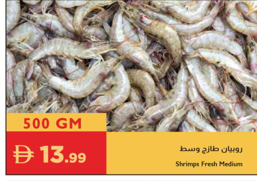 available at إسطنبول سوبرماركت in الإمارات العربية المتحدة , الامارات - دبي