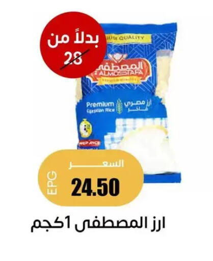 available at Ghallab Market in Egypt - Cairo