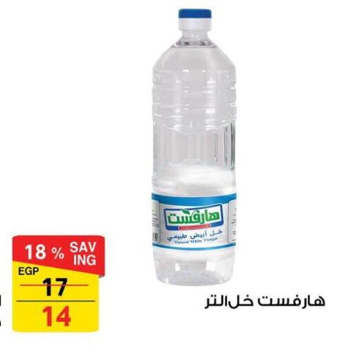available at فتح الله in Egypt - القاهرة