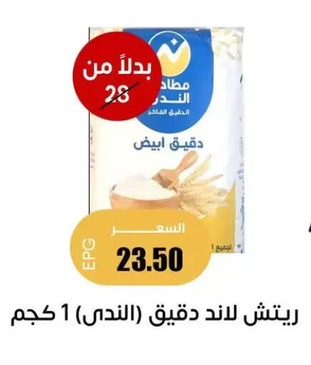 available at Ghallab Market in Egypt - Cairo