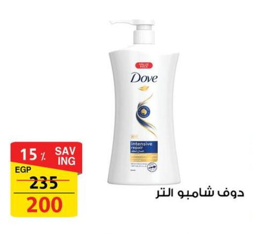 available at فتح الله in Egypt - القاهرة