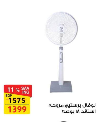 available at فتح الله in Egypt - القاهرة