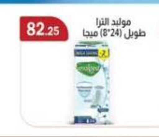 available at ابا ماركت in Egypt - القاهرة