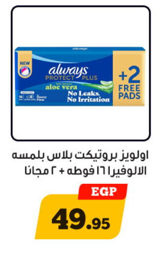 available at أولاد رجب in Egypt - القاهرة