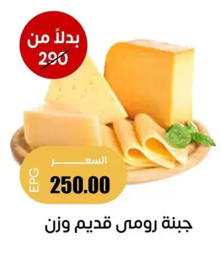 available at سوق غلاب in Egypt - القاهرة