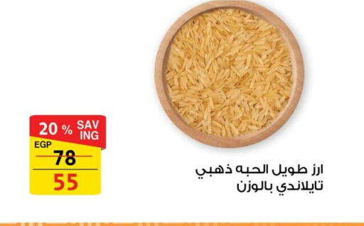 available at فتح الله in Egypt - القاهرة