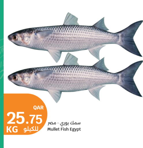 available at سيتي هايبرماركت in قطر - الخور