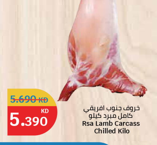 available at سيتي هايبرماركت in الكويت - مدينة الكويت
