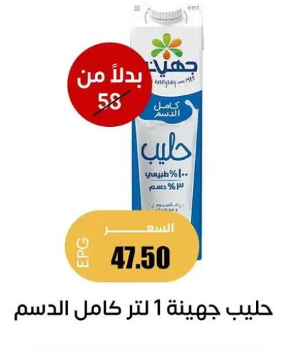 available at Ghallab Market in Egypt - Cairo