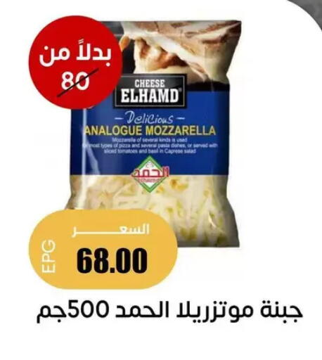 Tomato Basil available at سوق غلاب in Egypt - القاهرة