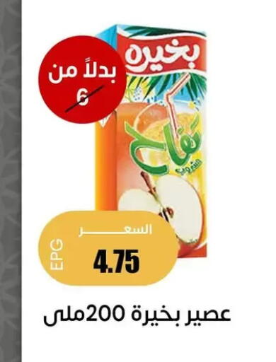 available at Ghallab Market in Egypt - Cairo