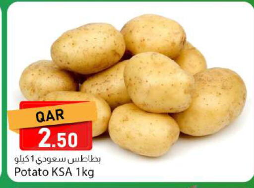 Potato available at Dana Market in Qatar - Al Khor
