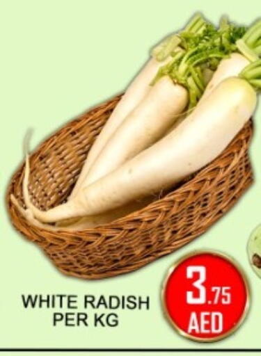 Radish available at جرين جيفت متجر أقسام in الإمارات العربية المتحدة , الامارات - دبي