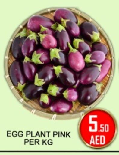 available at جرين جيفت متجر أقسام in الإمارات العربية المتحدة , الامارات - دبي