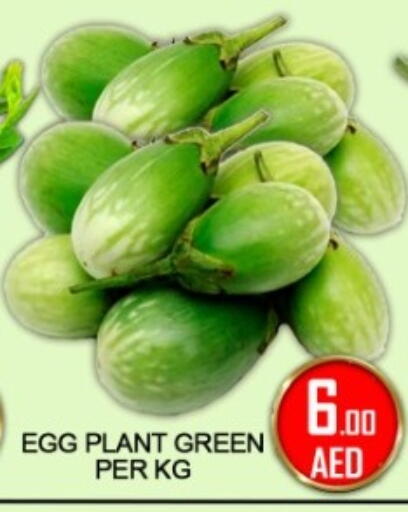 available at جرين جيفت متجر أقسام in الإمارات العربية المتحدة , الامارات - دبي