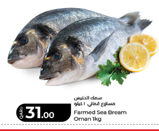 available at لولو هايبرماركت in قطر - الريان