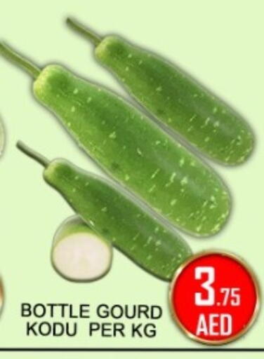 available at جرين جيفت متجر أقسام in الإمارات العربية المتحدة , الامارات - دبي