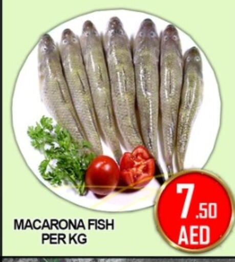 available at جرين جيفت متجر أقسام in الإمارات العربية المتحدة , الامارات - دبي
