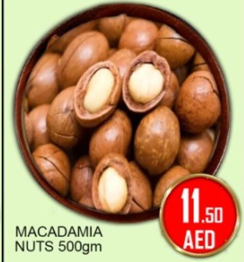 available at جرين جيفت متجر أقسام in الإمارات العربية المتحدة , الامارات - دبي